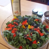 Salada selvagem